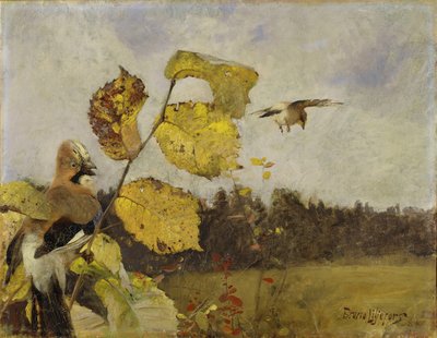 Eichelhäher von Bruno Andreas Liljefors